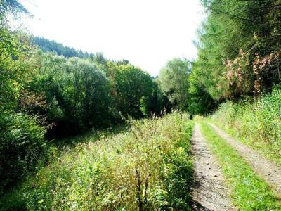 Piękne działki na terenie Gór Słonnych, Hołuczków gm. Tyrawa