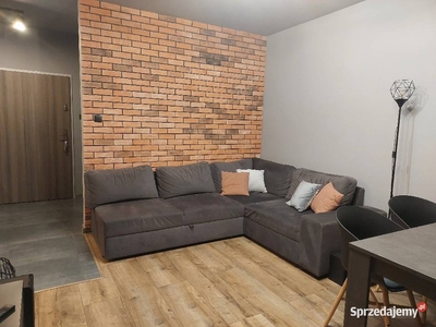 Apartament Zielony Romanów w Łodzi