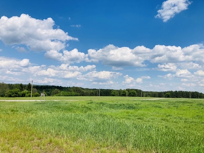 Atrakcyjna działka budowlana 728 m2 / Zalew Chańcza 10 km / OKAZJA!