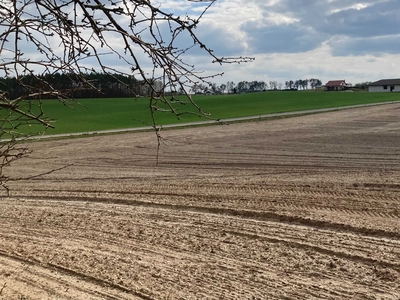 Działka 1000m Pojezierze Brodnickie, Karbowo ul. Brzozowa