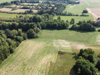 Działka 3000m2 Huta, Rogowo, Rypin