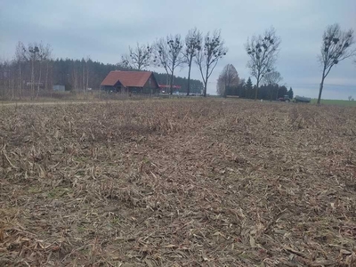 Działka budowlana - 715 metrów - Plewno k/Świecia