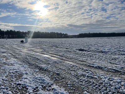 Działka budowlana - Czarnotki, spokojna okolica, lasy