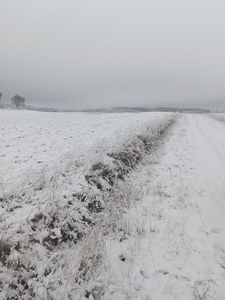 Działka Mazury 1500 m2