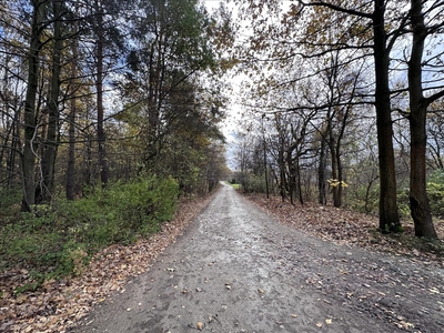 Działka na sprzedaż, Radomski, Janiszew