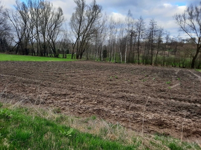 działka o pow. 20 arów