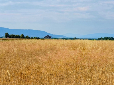 Działka ok. 12ar w Bielsko-Biała, obręb Wilamowice