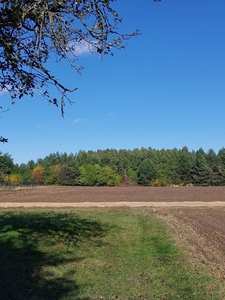 Działka pod budowę domu z WZ Sadek