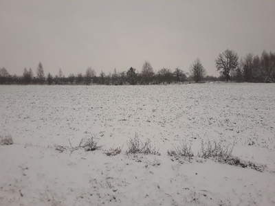 Działka Popowo Borowe 3000m2 działka cena 50 zl/m2