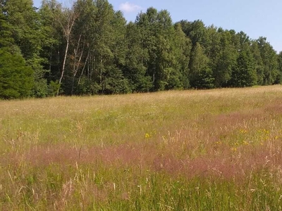 działka rolna na na pojezierzu łęczyńsko - włodawskim