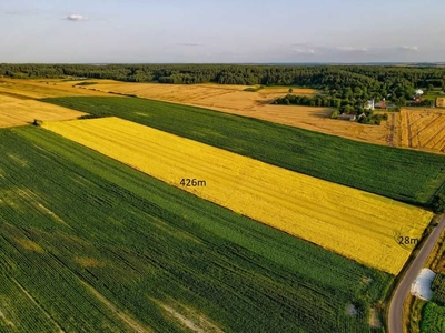 Działka rolno-budowlana Henrysin/Podgórze