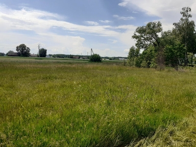 Działka rolno-budowlana Tończa 3000 m2 Cena Do Negocjacji