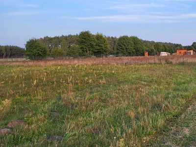 Działka rolno-budowlana z WODOCIĄGIEM, Wilków gm. Dalików (dz. 32/26)