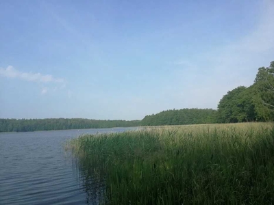 Działka w pobliżu jeziora