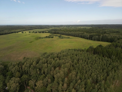 Działka w pobliżu jeziora, lasu (rolna)