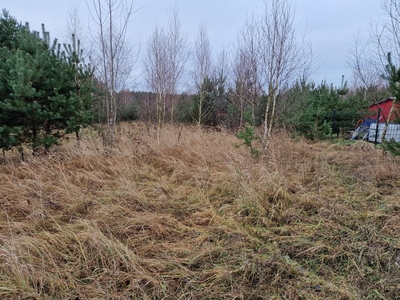 Działka w Steklnie 1000m2