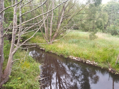 Działka z linią brzegową. Możliwość zabudowy.