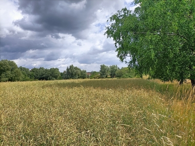 Działka z możliwością zabudowy