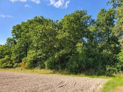 Las działka leśna 2049 m2 Chmielewo k/Pułtuska