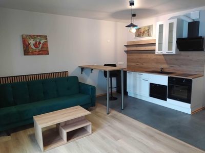 NEW STUDIO FOR RENT/Wynajmę nową i przytulną kawalerkę. ŁADNY WIDOK