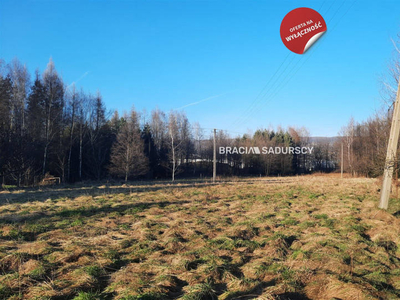 Oferta sprzedaży gruntu Krzeszowice Łęgowa 4200 metrów