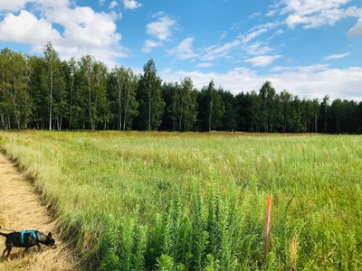 Ostatnie działki nad zalewem