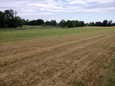 Cena promocyjna na święta zapraszam Działka rolna 11000m²