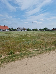 Sędzinko gmina Duszniki powiat Szamotulski, nowe domy > 7 km do Buku