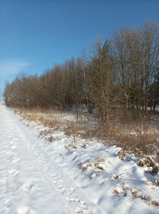 Sprzedam działkę w Dziurowie obok Starachowic