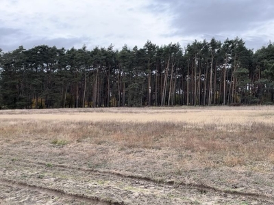 Sprzedam działke budowlaną Kębłowo Kolonia