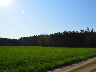 Urokliwa działka 2200 m2 granicząca z lasem Kalisz Turek