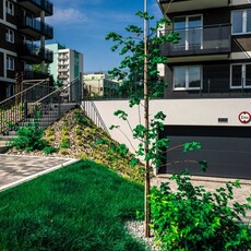 Apartamenty Zabrze Centrum - Ostatnie wolne mieszkania