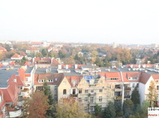 Borek, rozkład, balkon! Zielono! Cicho