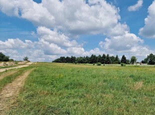 Okazja Działka budowlna 38500m2 Sokolniki - 40zł/m2