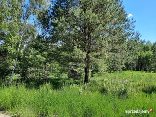 Piękna, słoneczna działka budowlana Salino 3600 m2