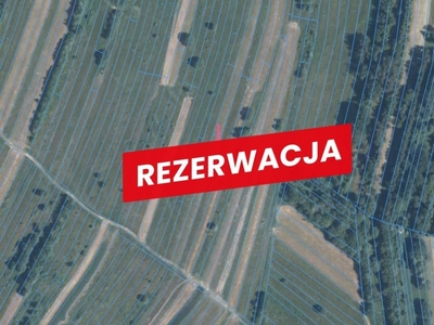 Działka rekreacyjna Trybsz