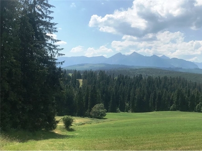 Działka Sprzedaż Rzepiska, Polska