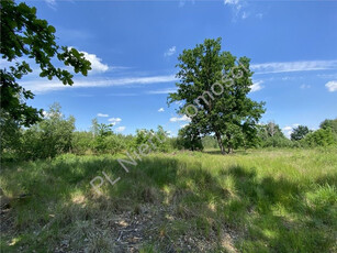 Grodziski, Janinów