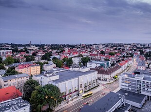 Lokal użytkowy na wynajem