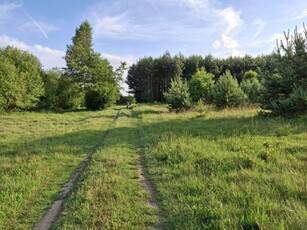 Piękna Działka z Linią Brzegową nad Pilicą !!!