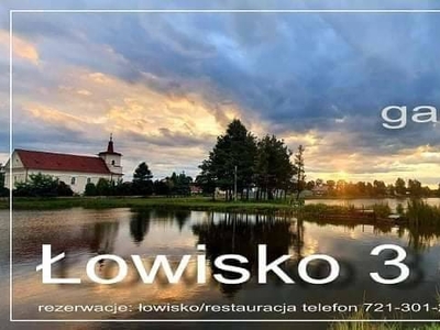 domki letniskowe, łowisko, imprezy okolicznościowe