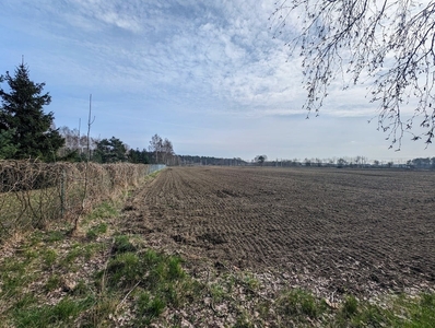 Działka budowlana Dobroń, ul. Rolnicza