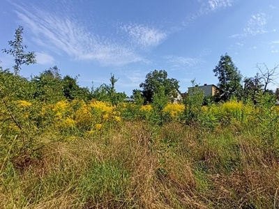 Działka budowlana Małogoszcz, ul. Włoszczowska