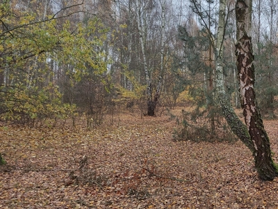 działka rezydencjonalna