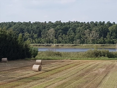 Działka usługowa Stęszew