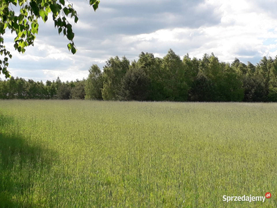 Działki 60 km od Warszawy