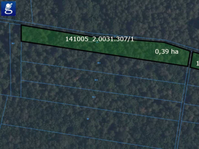 Las działka leśna 0,75ha sosna 80 lat Terlików