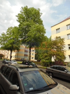 Mieszkanie Szczecin Niebuszewo, ul. Heleny