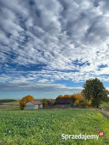 SIEDLISKO NA WARMII 8500m2 IDEALNE POD AGROTURYSTYKE