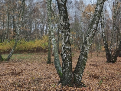 Sprzedam 3 działki - oddzielnie lub razem